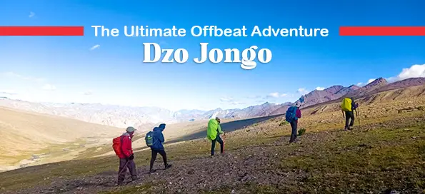 Dzo Jongo: The Ultimate Offbeat Adventure